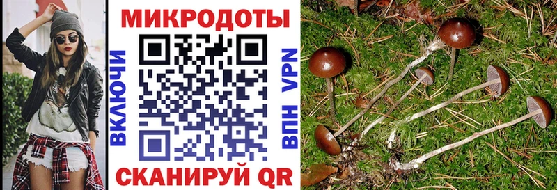 Псилоцибиновые грибы мухоморы  Купить  Южа 